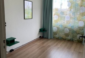 Ds Th Rijckewaerdstraat