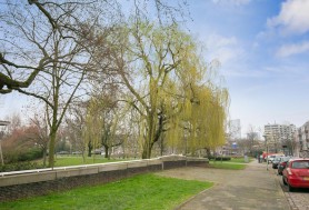 Nicolaas Ruyschstraat