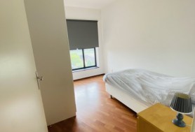 Oosterbakenpad