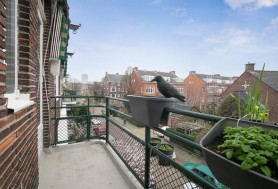 Nicolaas Ruyschstraat