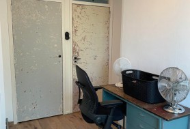 Ds Th Rijckewaerdstraat