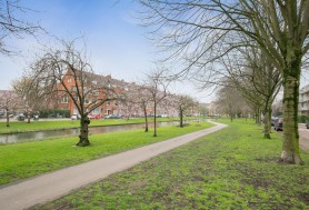 Nicolaas Ruyschstraat