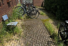 Lunetstraat